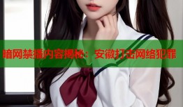 暗网禁播内容揭秘：安徽打击网络犯罪