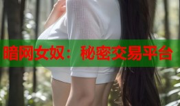 暗网女奴：秘密交易平台