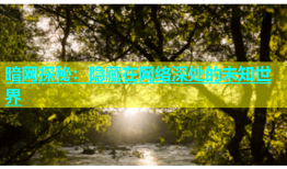 暗网探秘：隐藏在网络深处的未知世界