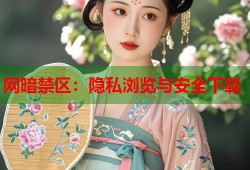 网暗禁区：隐私浏览与安全下载