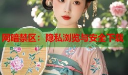 网暗禁区：隐私浏览与安全下载