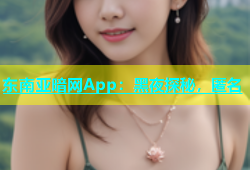 东南亚暗网App：黑夜探秘，匿名