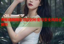 揭秘暗网网址背后的秘密与安全风险全解析