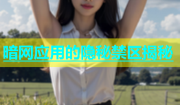 暗网应用的隐秘禁区揭秘