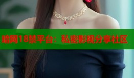 暗网18禁平台：私密影视分享社区