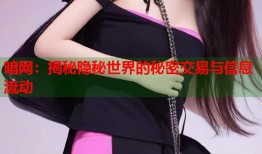 暗网：揭秘隐秘世界的秘密交易与信息流动