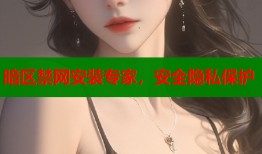 暗区禁网安装专家，安全隐私保护