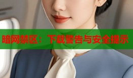 暗网禁区：下载警告与安全提示