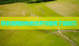 探索暗网的秘密世界与隐秘下载技巧