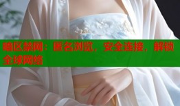 暗区禁网：匿名浏览，安全连接，解锁全球网络