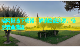 暗网极速下载器：解锁隐藏资源，畅享安全链接