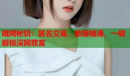 暗网秘钥：匿名交易，数据暗涌，一键解锁深网罪案