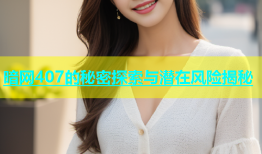暗网407的秘密探索与潜在风险揭秘