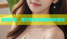 暗网探秘：揭开隐秘领域的神秘面纱