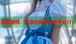 暗网视频：禁忌内容的秘密平台(1)