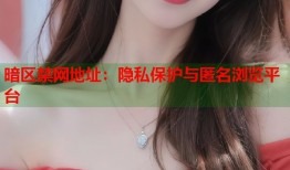 暗区禁网地址：隐私保护与匿名浏览平台