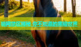 暗网禁区揭秘 你不知道的黑暗世界