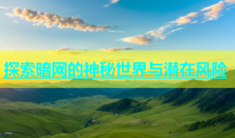 探索暗网的神秘世界与潜在风险