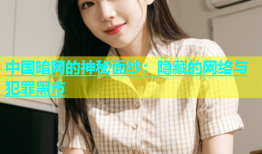 中国暗网的神秘面纱：隐藏的网络与犯罪黑市