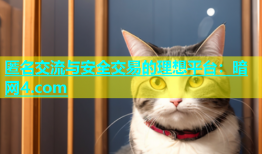匿名交流与安全交易的理想平台：暗网4.com