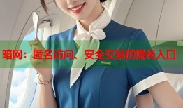 暗网：匿名访问、安全交易的隐秘入口
