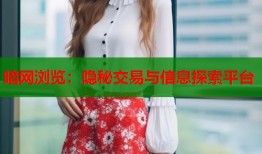 暗网浏览：隐秘交易与信息探索平台
