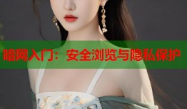 暗网入门：安全浏览与隐私保护
