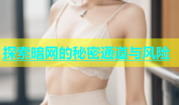 探索暗网的秘密通道与风险