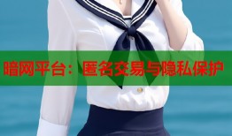 暗网平台：匿名交易与隐私保护