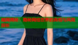 暗网揭秘：隐秘网络世界的真相与风险探析