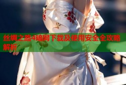 丝绸之路4暗网下载及使用安全全攻略解析