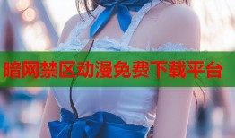 暗网禁区动漫免费下载平台