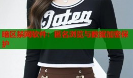 暗区禁网软件：匿名浏览与数据加密保护