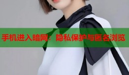手机进入暗网：隐私保护与匿名浏览
