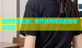 暗网探索之旅：揭开禁网背后的秘密与风险