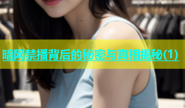 暗网禁播背后的秘密与真相揭秘(1)