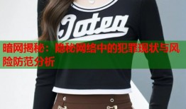 暗网揭秘：隐秘网络中的犯罪现状与风险防范分析