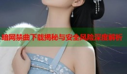 暗网禁曲下载揭秘与安全风险深度解析