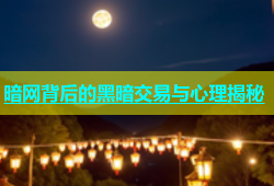 暗网背后的黑暗交易与心理揭秘