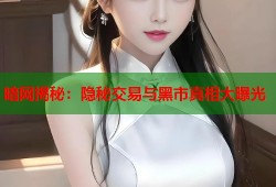 暗网揭秘：隐秘交易与黑市真相大曝光