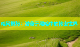 暗网揭秘：潜藏于黑暗中的秘密世界