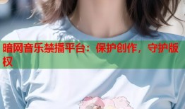 暗网音乐禁播平台：保护创作，守护版权