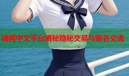 暗网中文平台揭秘隐秘交易与匿名交流