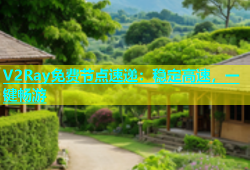 V2Ray免费节点速递：稳定高速，一键畅游