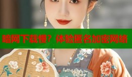 暗网下载慢？体验匿名加密网络