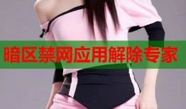 暗区禁网应用解除专家