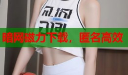 暗网磁力下载，匿名高效