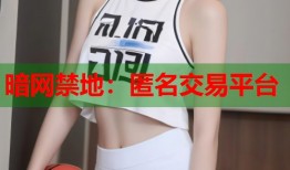 暗网禁地：匿名交易平台