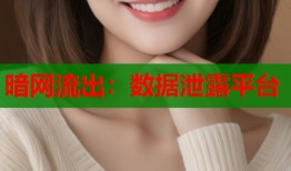 暗网流出：数据泄露平台