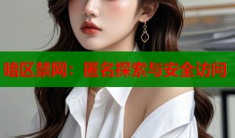 暗区禁网：匿名探索与安全访问